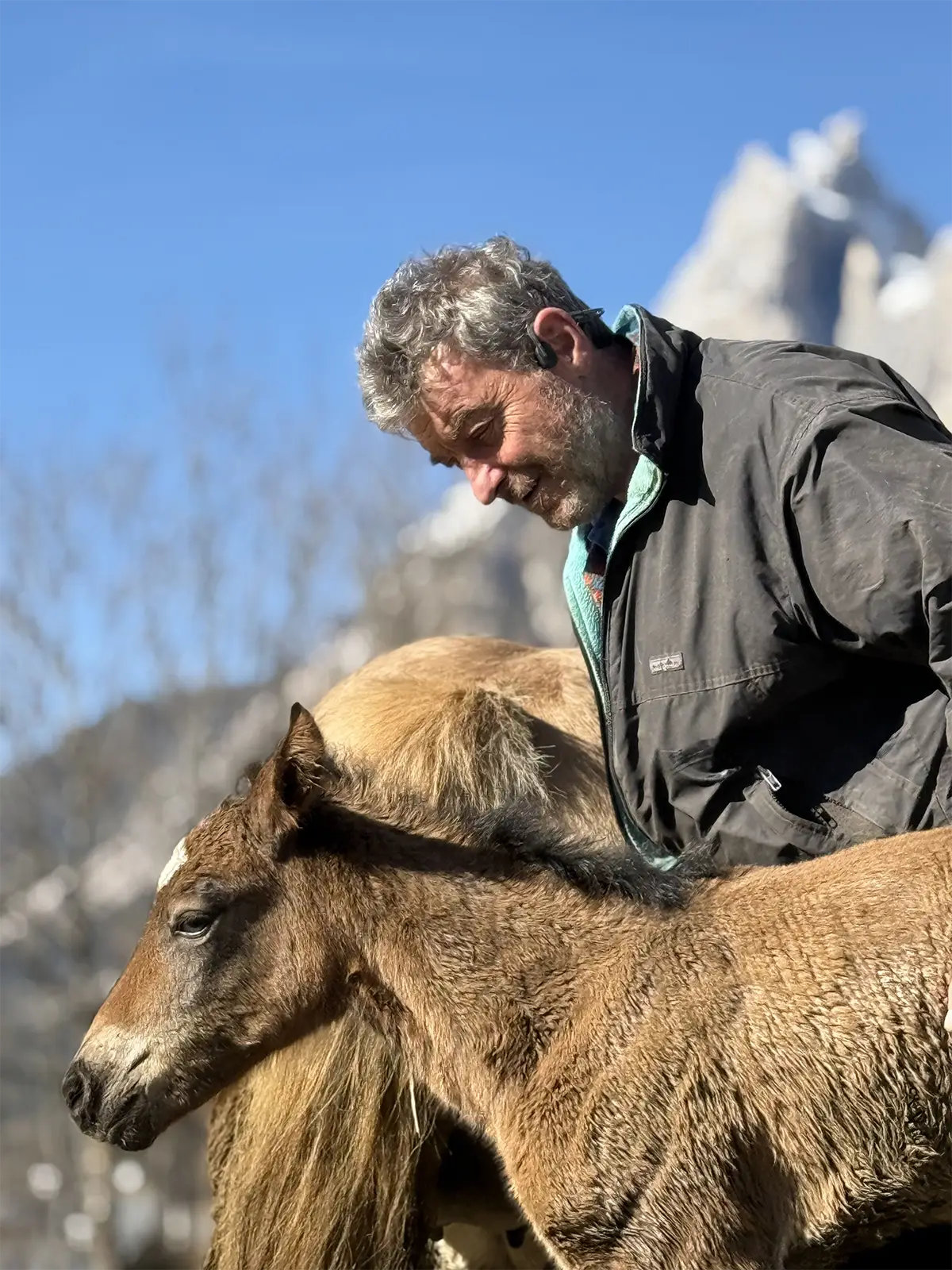 azienda-agricola-san-vito-cadore-2