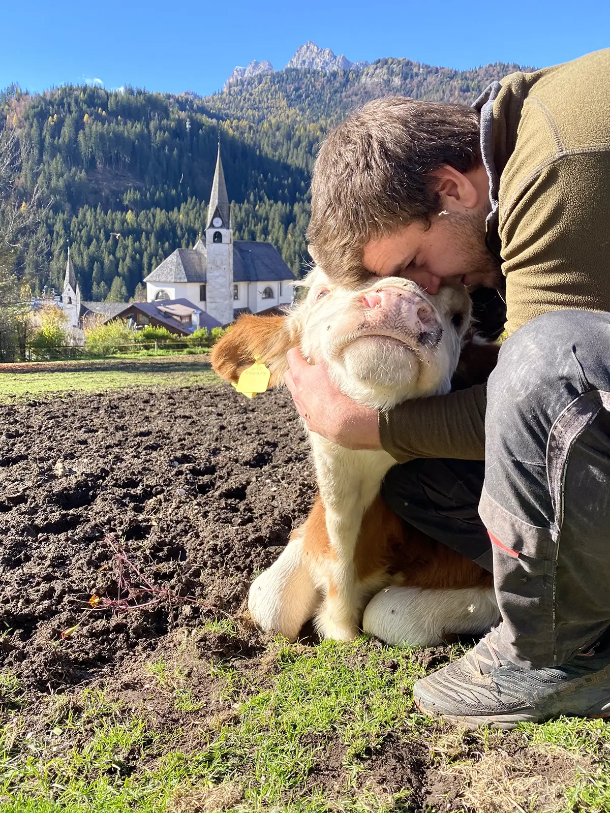 azienda-agricola-san-vito-cadore