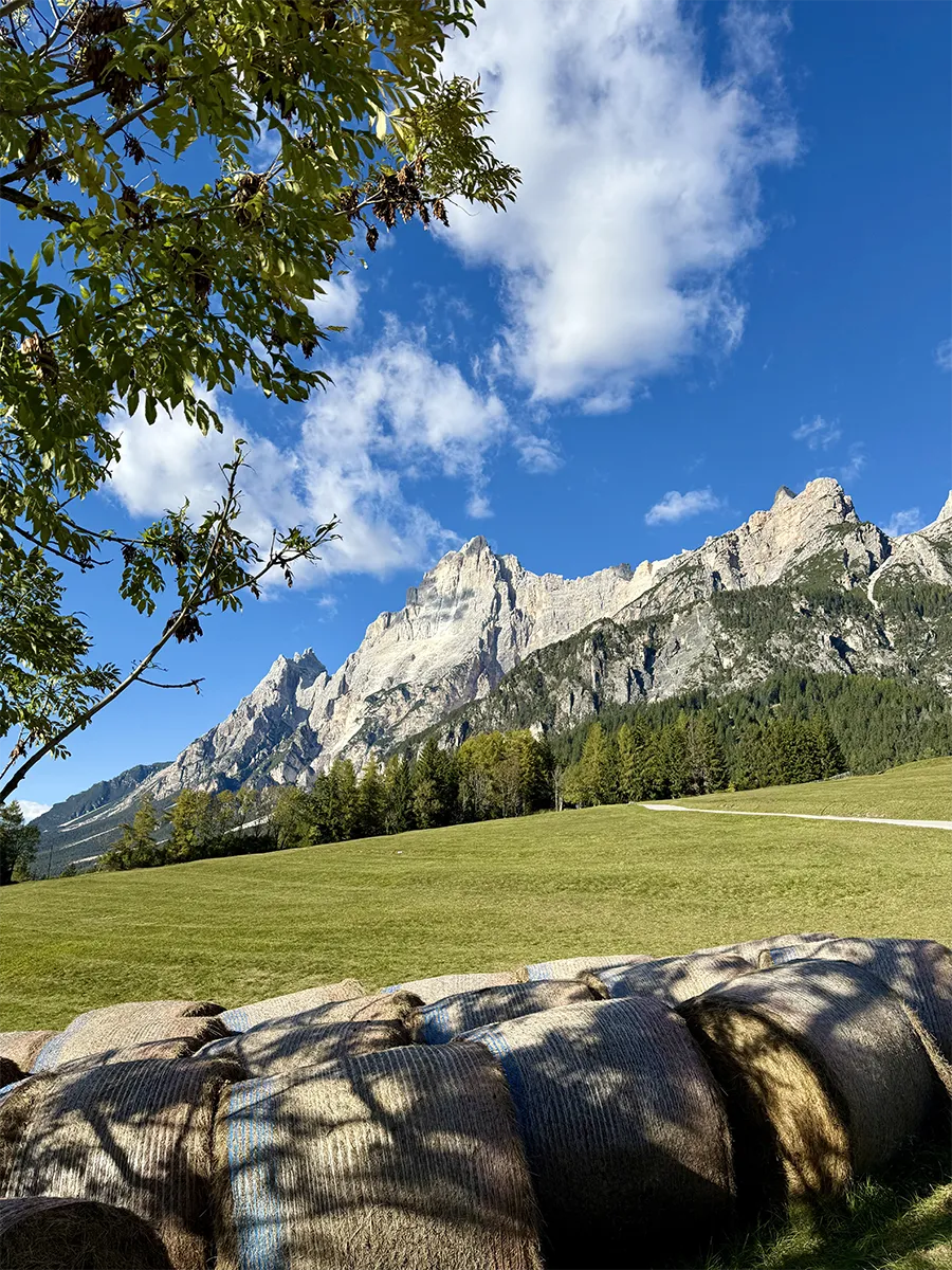 estate-san-vito-cadore-1