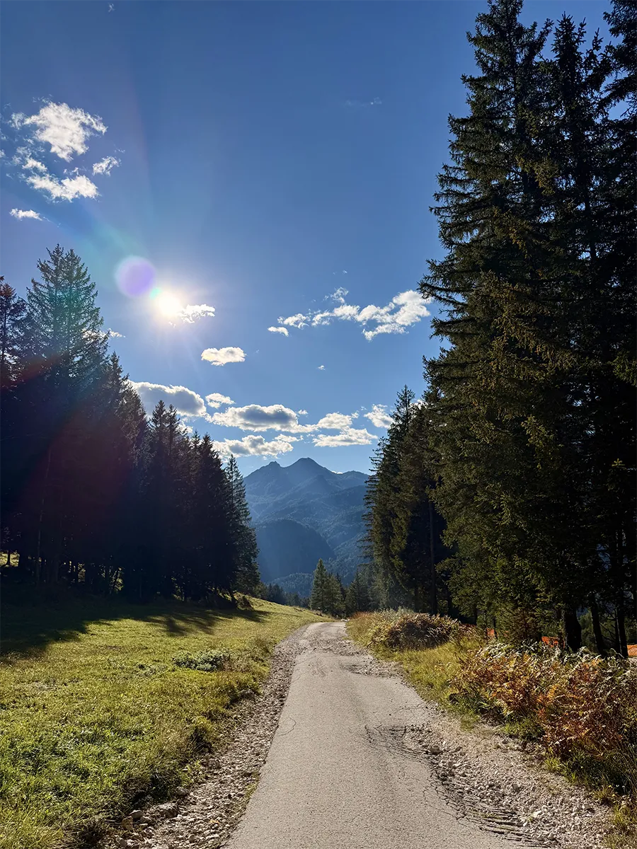 estate-san-vito-cadore-2