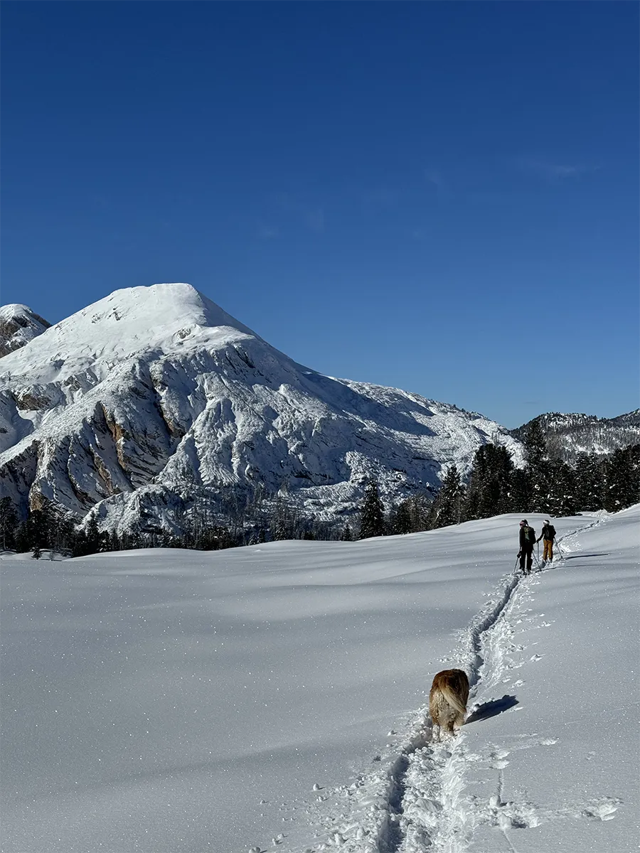 inverno-san-vito-cadore-2